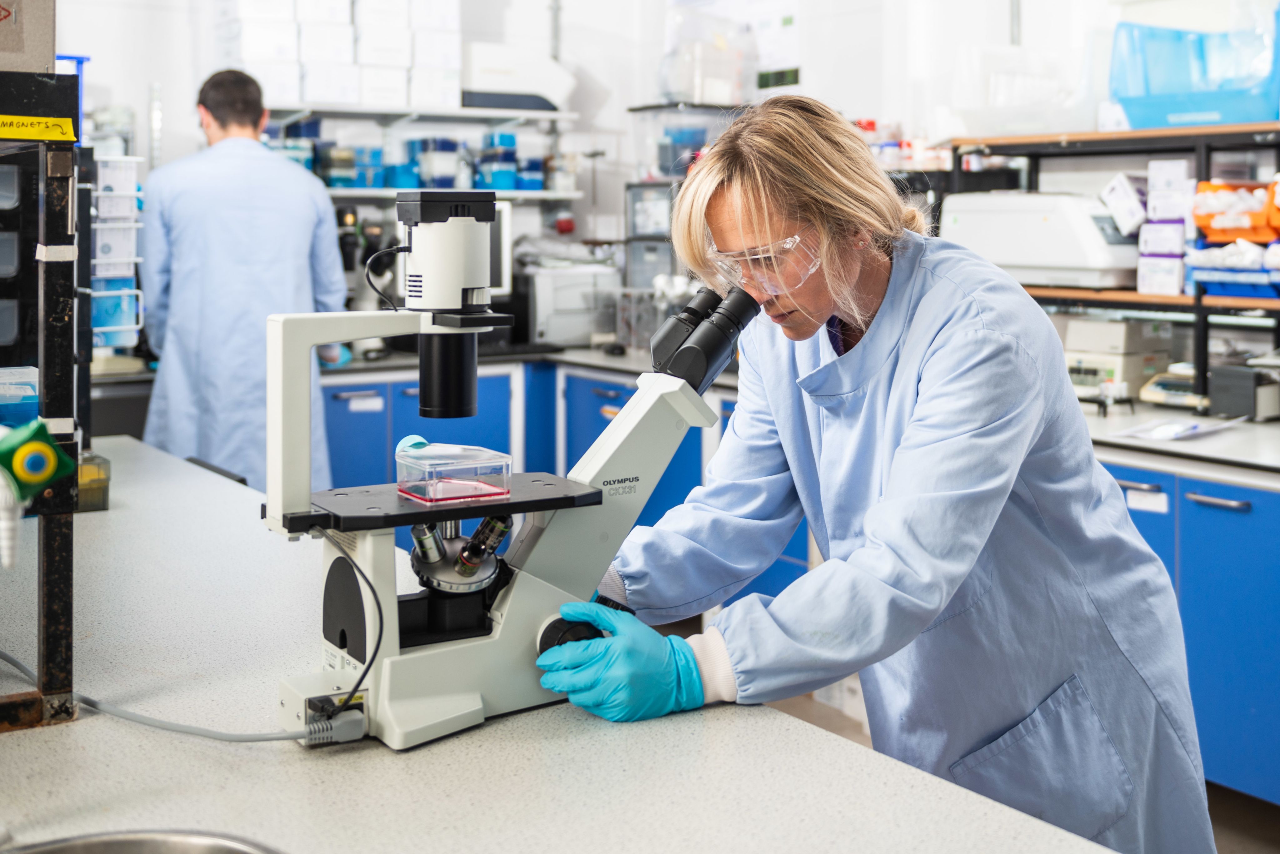 Prof Marianne Ellis using a microscope in the lab