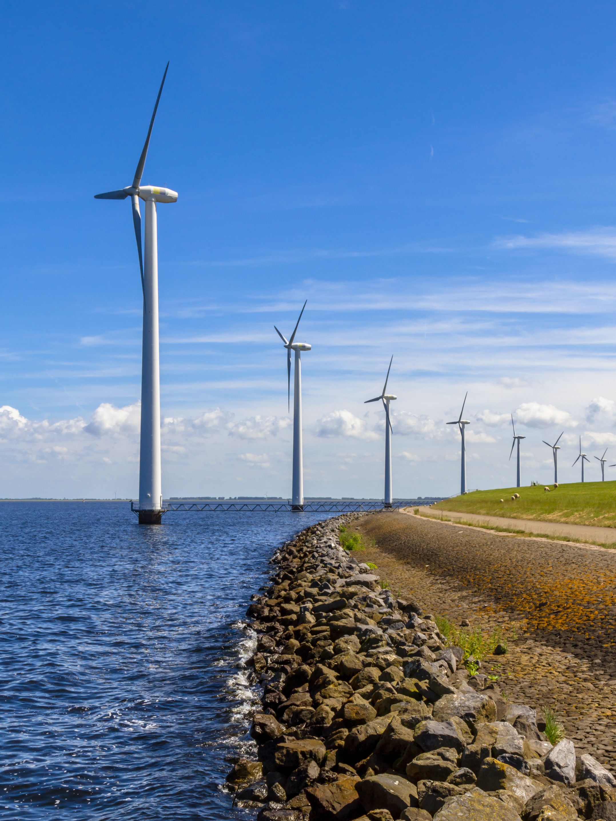 Offshore wind turbines near a coast. Credit: Adobe Stock / creativenature.nl