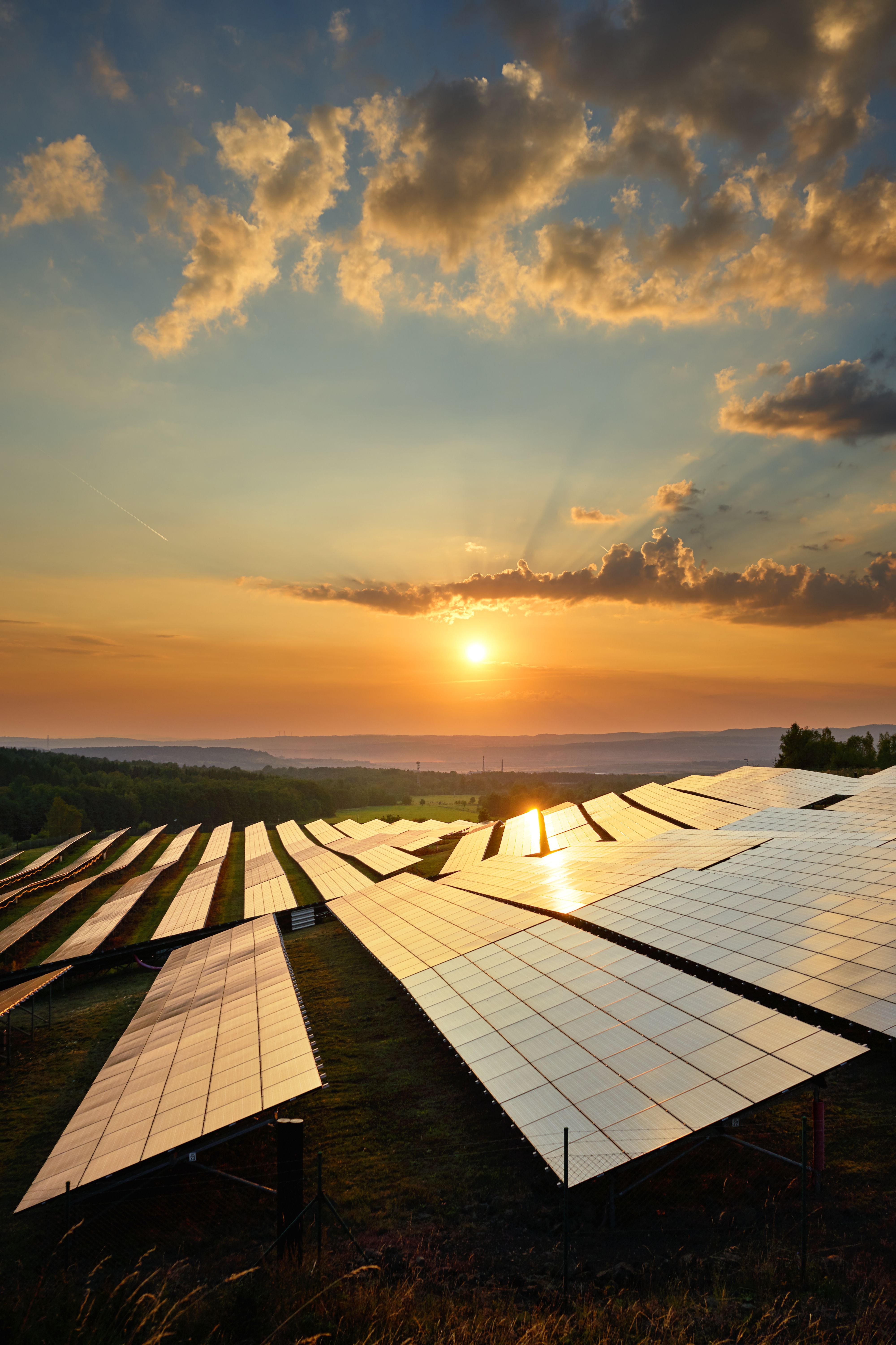 A solar farm on a UK hillside at sunset. Credit: Adobe Stock / am
