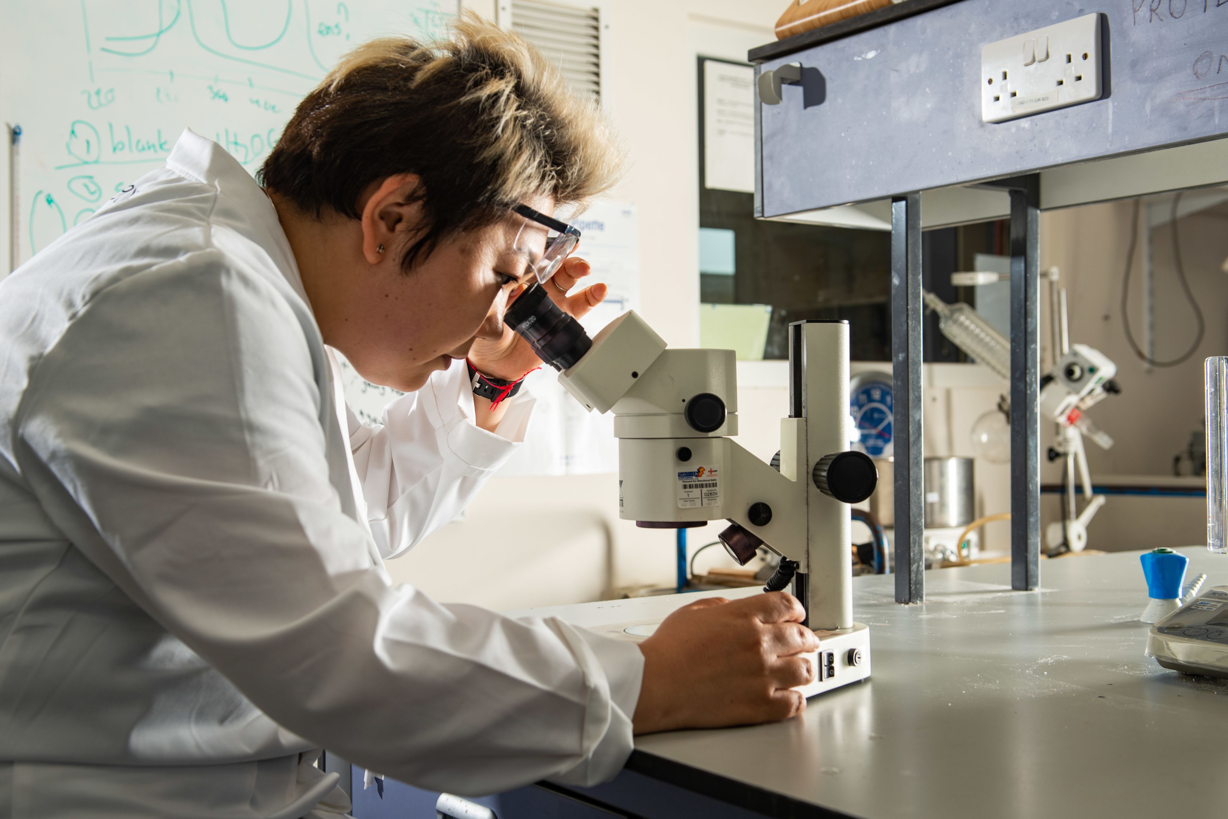 Scientist in lab coat looks down a microscope