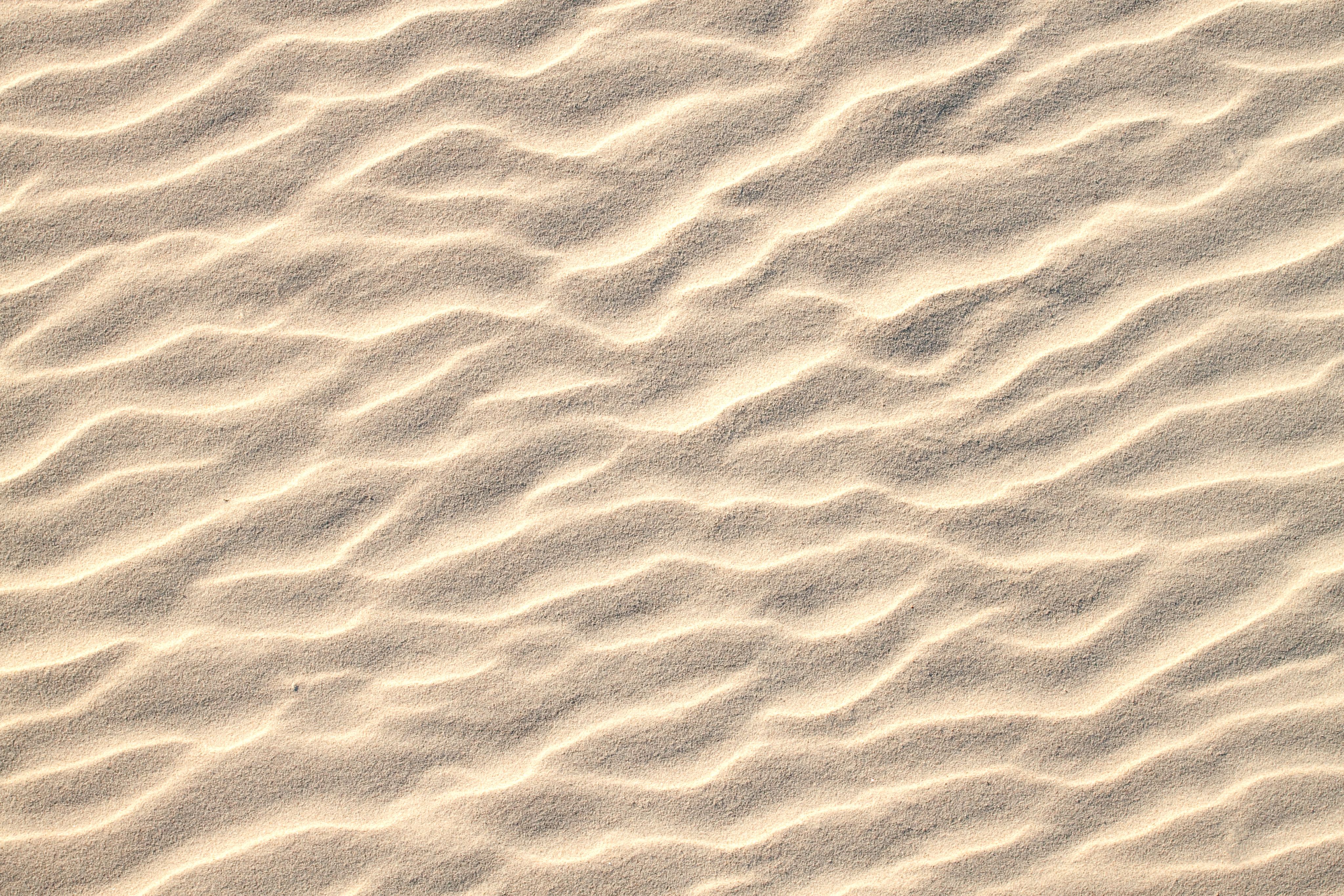 Rippled sand